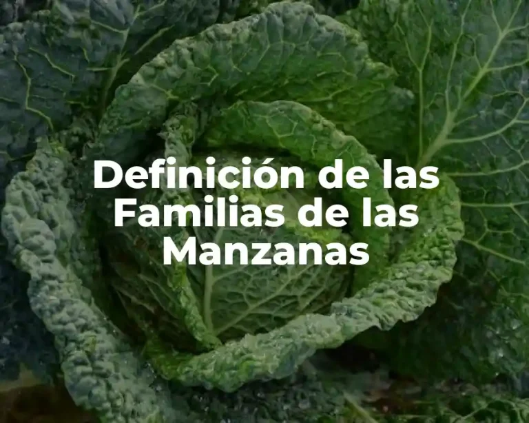 Definición de las Familias de las Manzanas