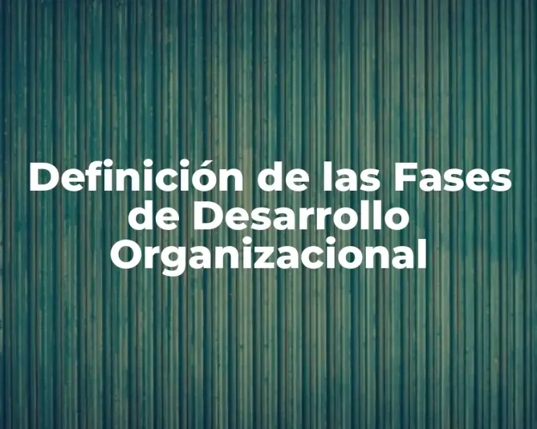 Definición de las Fases de Desarrollo Organizacional