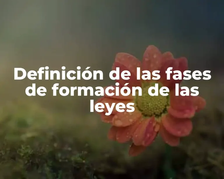 Definición de las fases de formación de las leyes