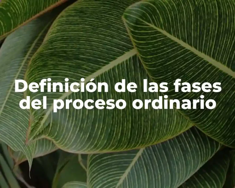 Definición de las fases del proceso ordinario