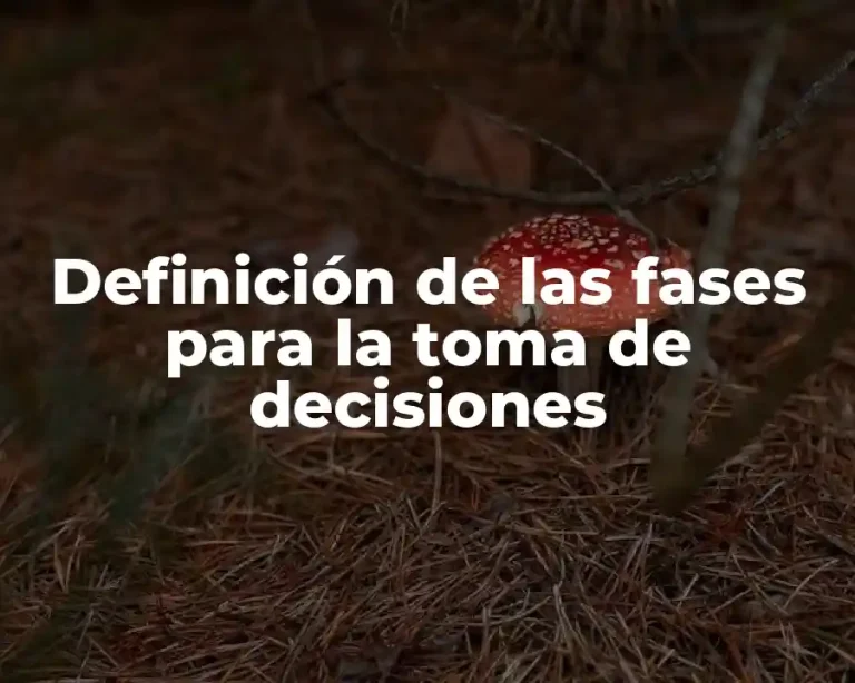 Definición de las fases para la toma de decisiones