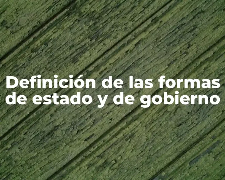 Definición de las formas de estado y de gobierno