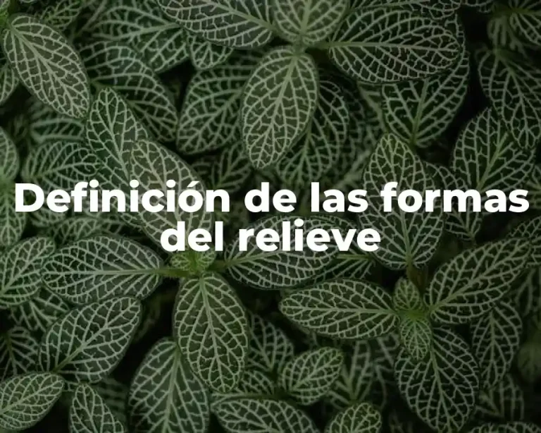 Definición de las formas del relieve