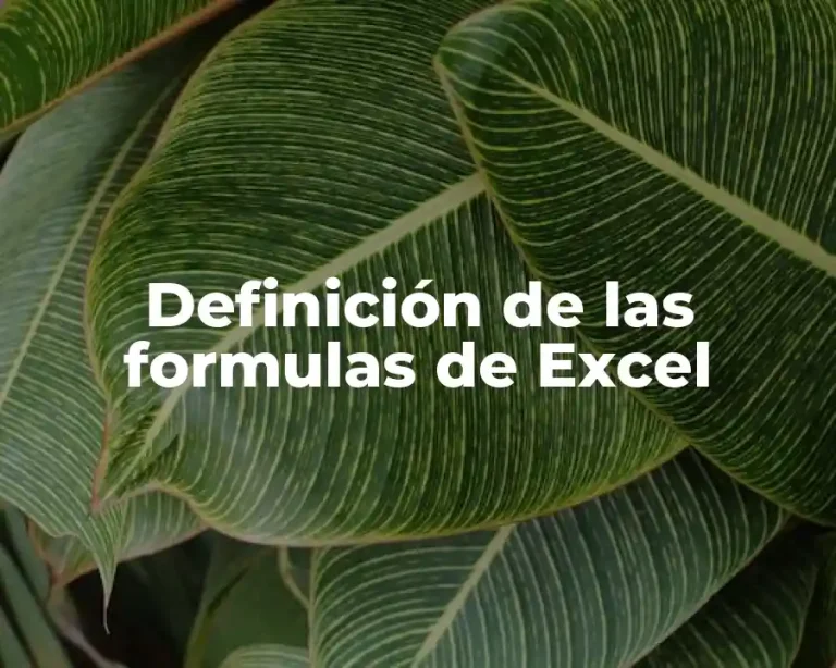 Definición de las formulas de Excel