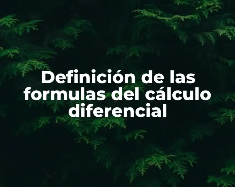 Definición de las formulas del cálculo diferencial