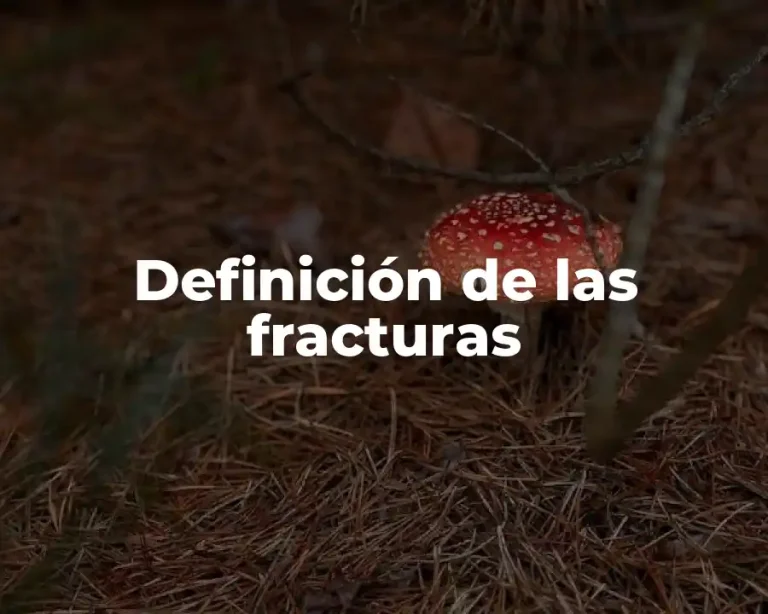 Definición de las fracturas