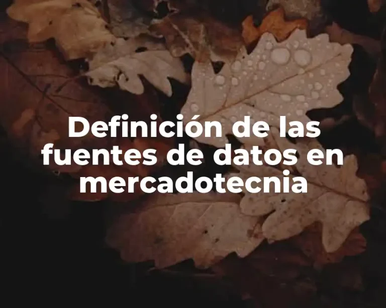 Definición de las fuentes de datos en mercadotecnia