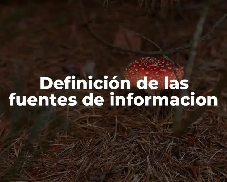 Definición de las fuentes de informacion