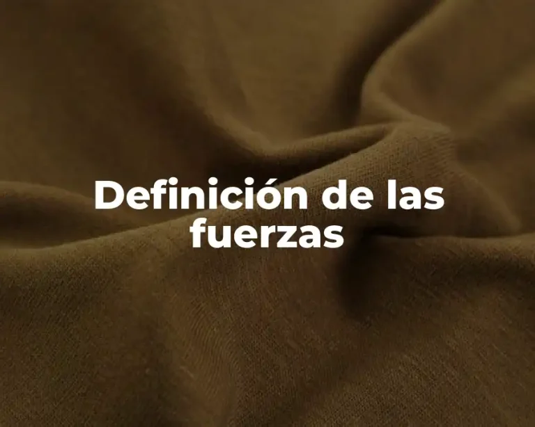 Definición de las fuerzas