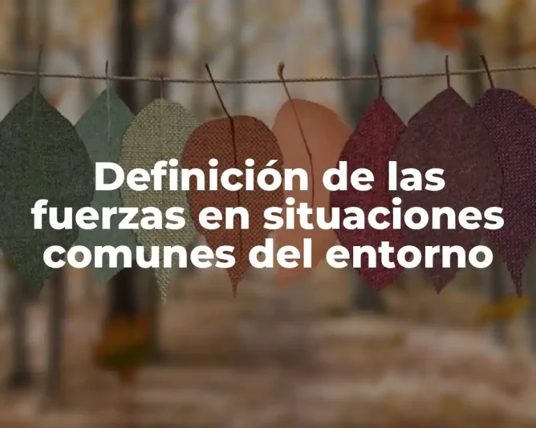 Definición de las fuerzas en situaciones comunes del entorno