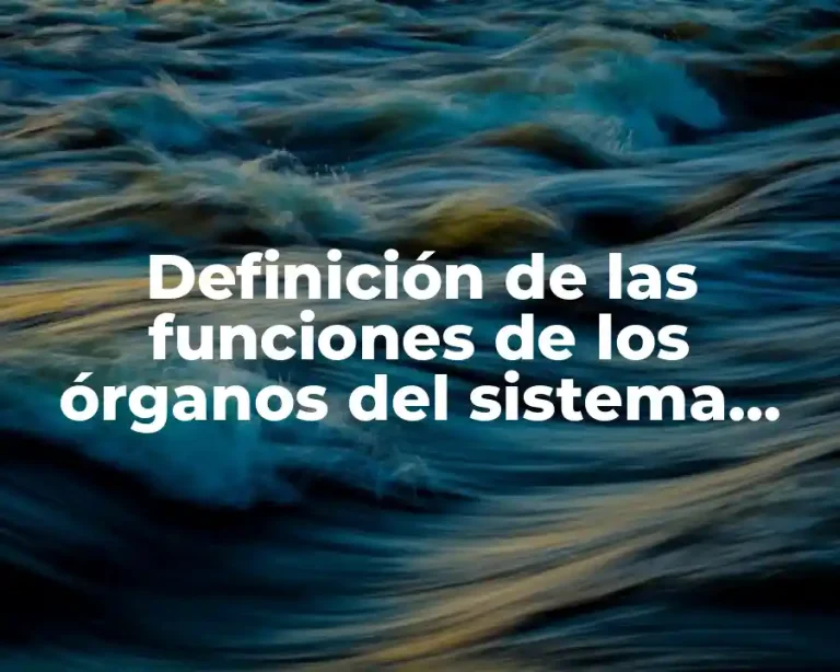 Definición de las funciones de los órganos del sistema nervioso