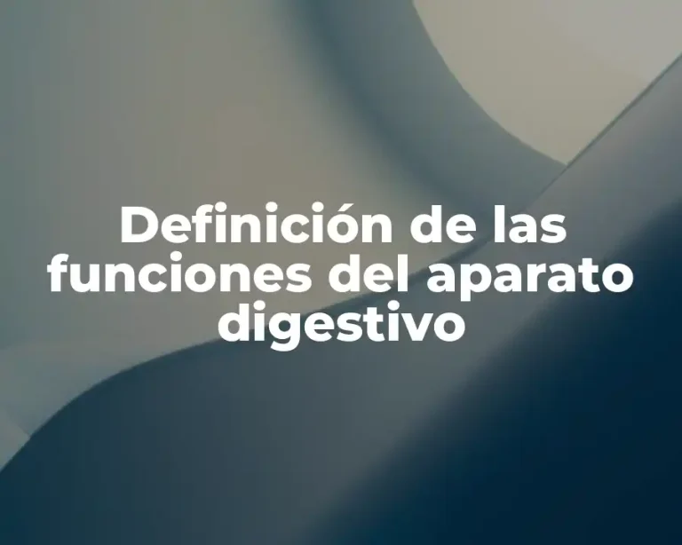 Definición de las funciones del aparato digestivo