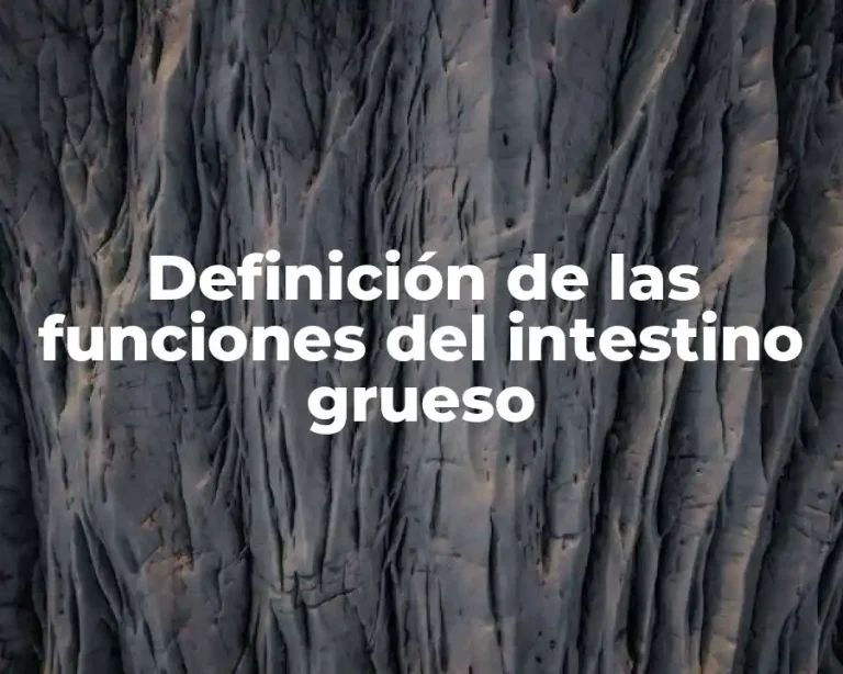 Definición de las funciones del intestino grueso