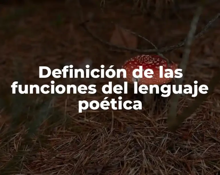 Definición de las funciones del lenguaje poética