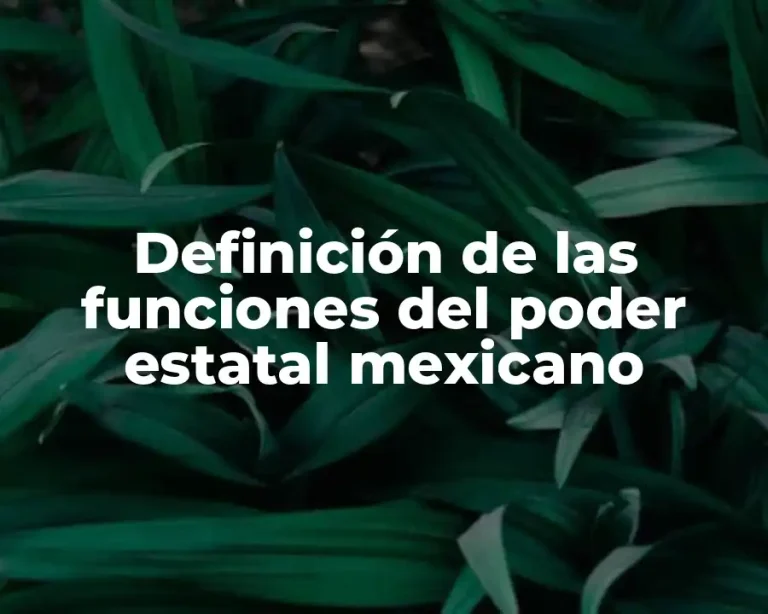 Definición de las funciones del poder estatal mexicano