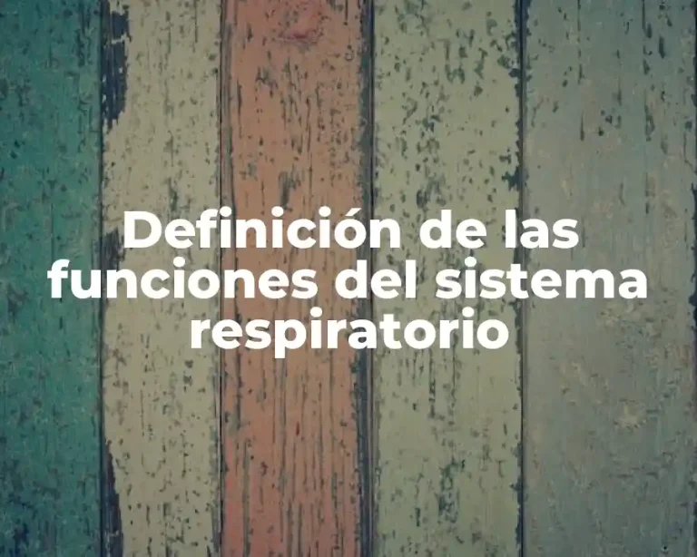 Definición de las funciones del sistema respiratorio