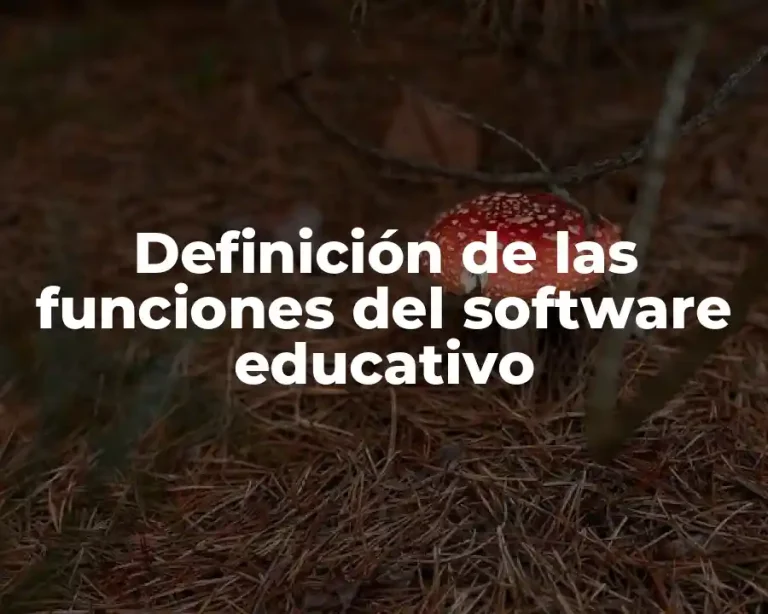 Definición de las funciones del software educativo