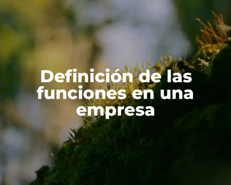 Definición de las funciones en una empresa