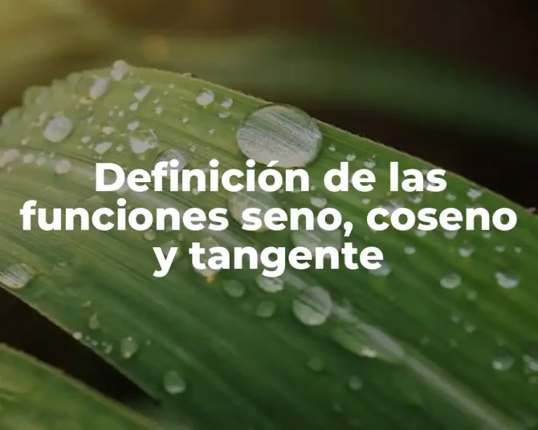 Definición de las funciones seno, coseno y tangente