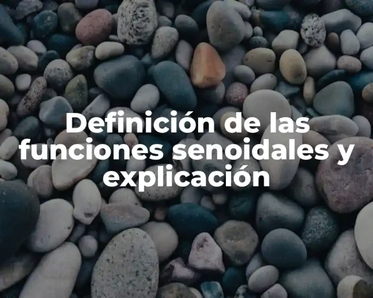 Definición de las funciones senoidales y explicación