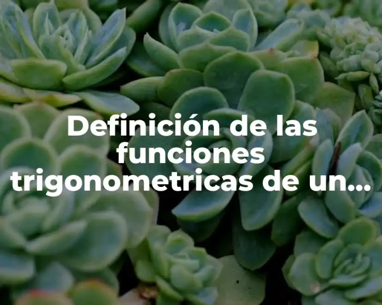 Definición de las funciones trigonometricas de un ángulo agudo
