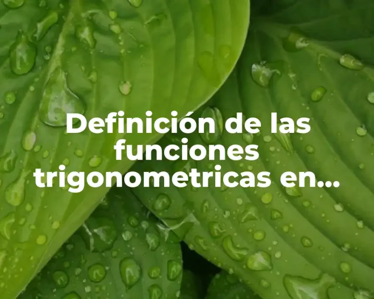 Definición de las funciones trigonometricas en coordenadas rectangulares