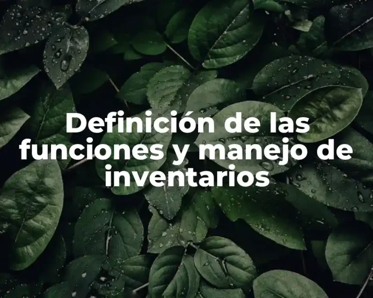 Definición de las funciones y manejo de inventarios