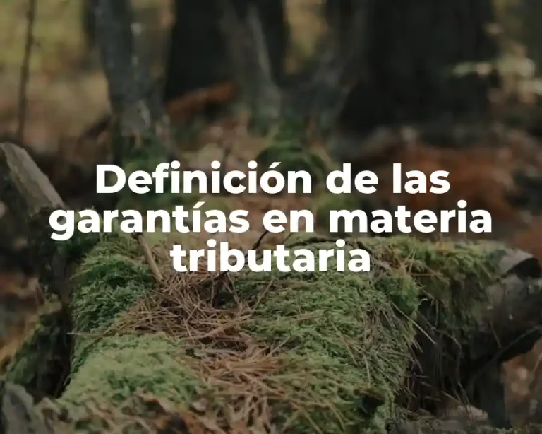 Definición de las garantías en materia tributaria