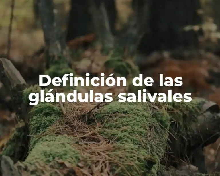 Definición de las glándulas salivales