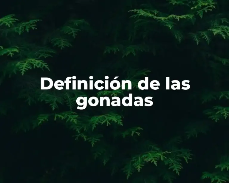 Definición de las gonadas