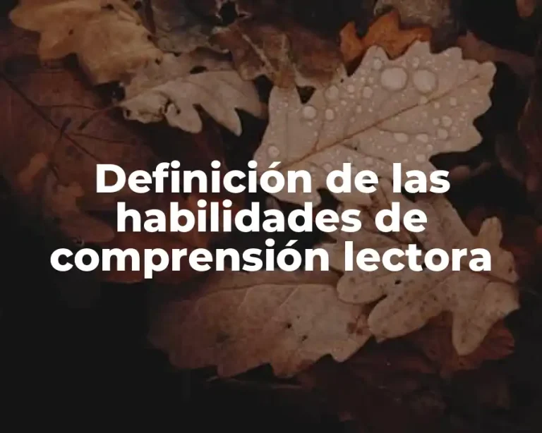 Definición de las habilidades de comprensión lectora