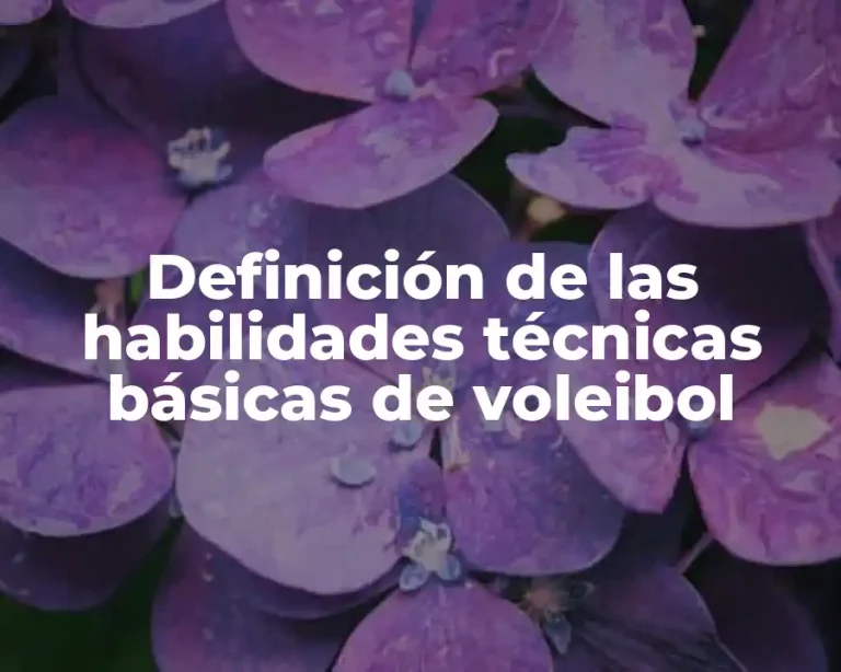 Definición de las habilidades técnicas básicas de voleibol