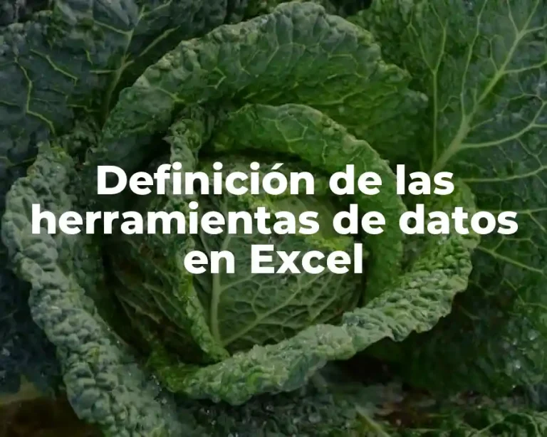 Definición de las herramientas de datos en Excel