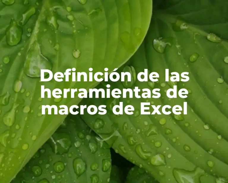 Definición de las herramientas de macros de Excel