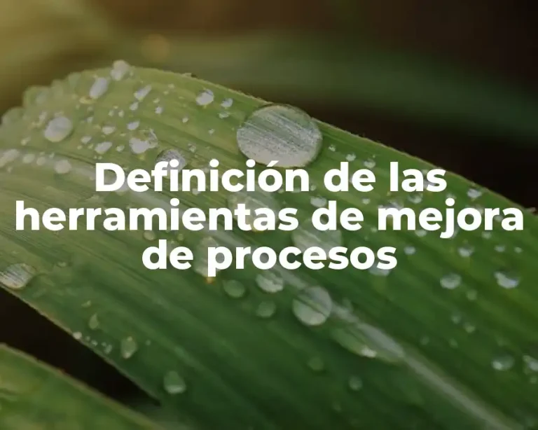 Definición de las herramientas de mejora de procesos