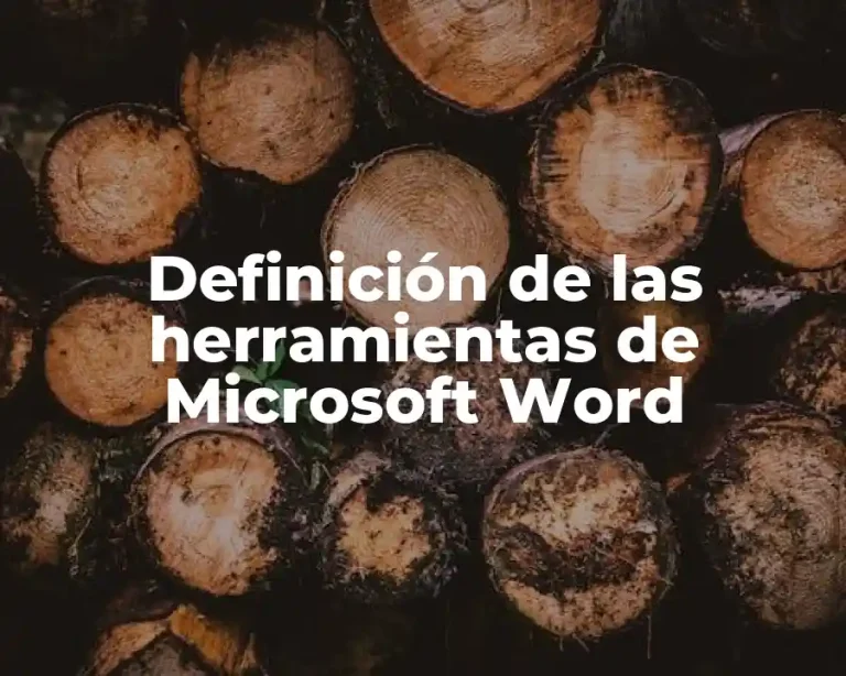 Definición de las herramientas de Microsoft Word