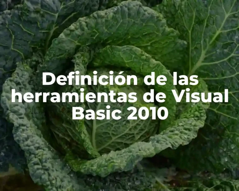 Definición de las herramientas de Visual Basic 2010