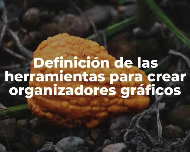 Definición de las herramientas para crear organizadores gráficos