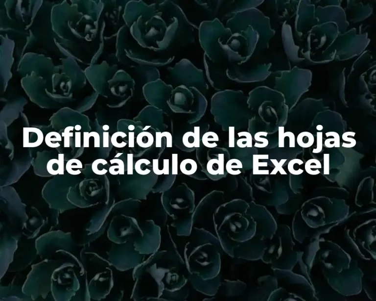 Definición de las hojas de cálculo de Excel