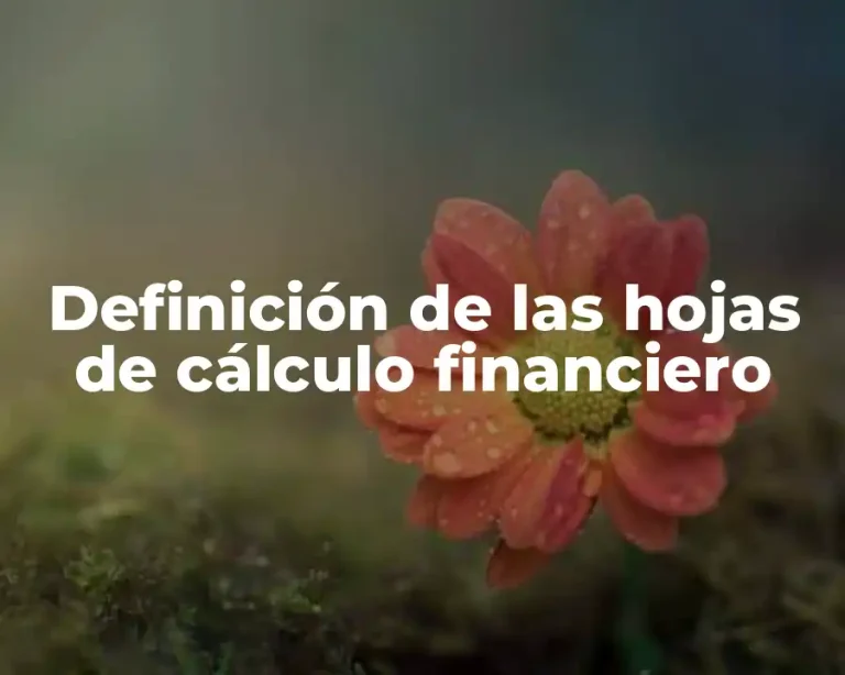 Definición de las hojas de cálculo financiero