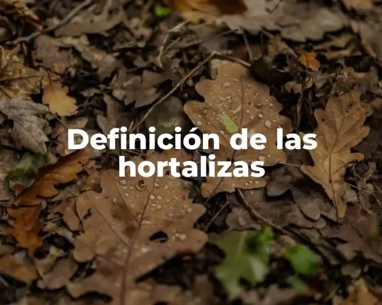 Definición de las hortalizas