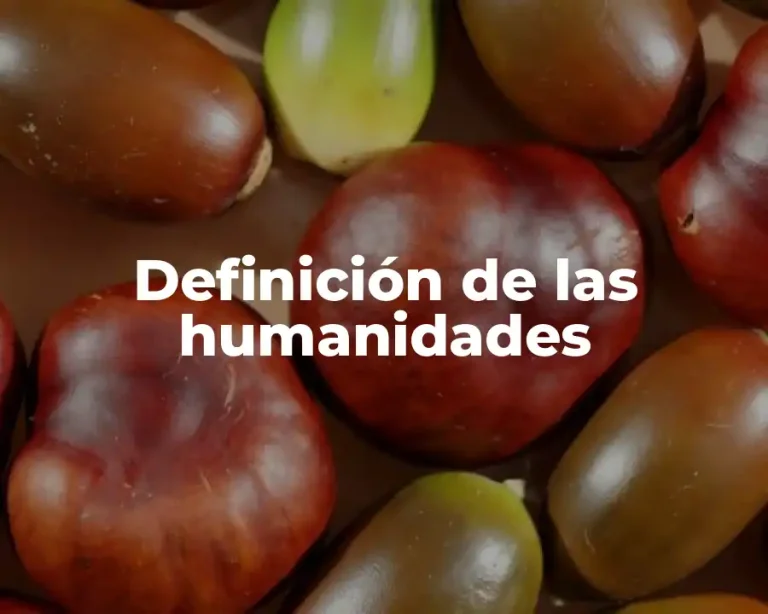 Definición de las humanidades
