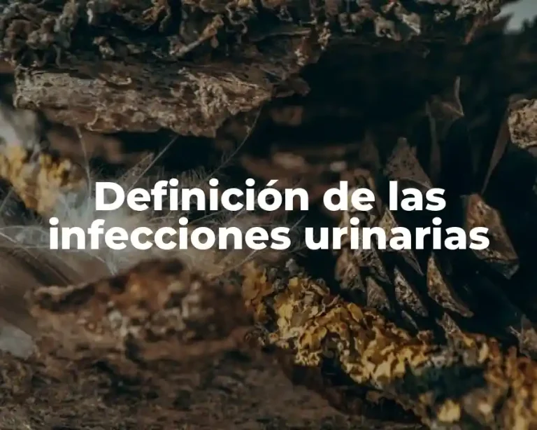 Definición de las infecciones urinarias