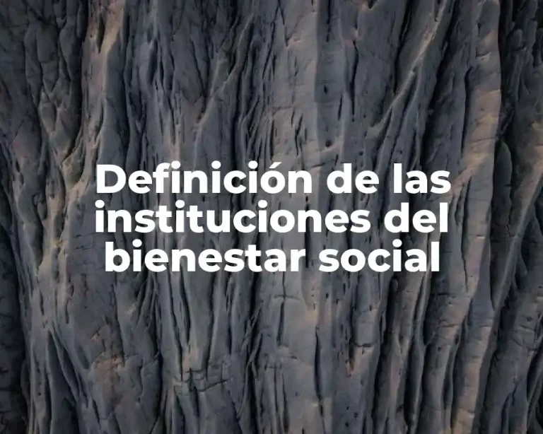 Definición de las instituciones del bienestar social