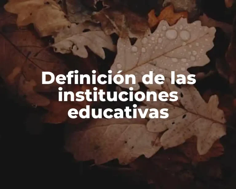 Definición de las instituciones educativas