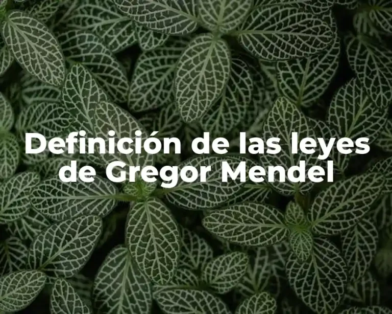 Definición de las leyes de Gregor Mendel