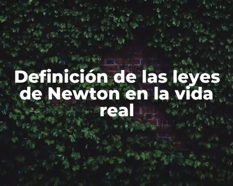 Definición de las leyes de Newton en la vida real