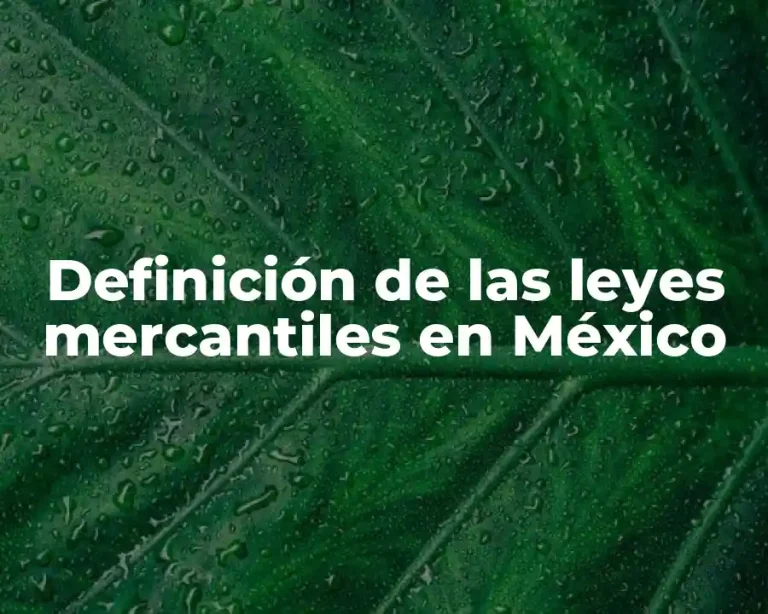 Definición de las leyes mercantiles en México