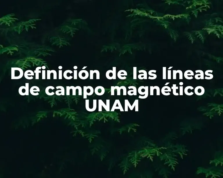 Definición de las líneas de campo magnético UNAM