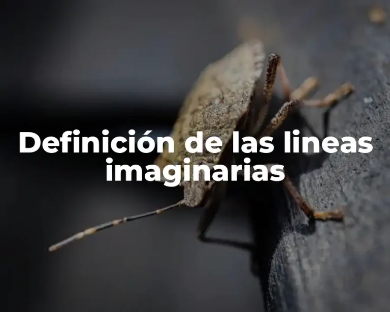 Definición de las lineas imaginarias